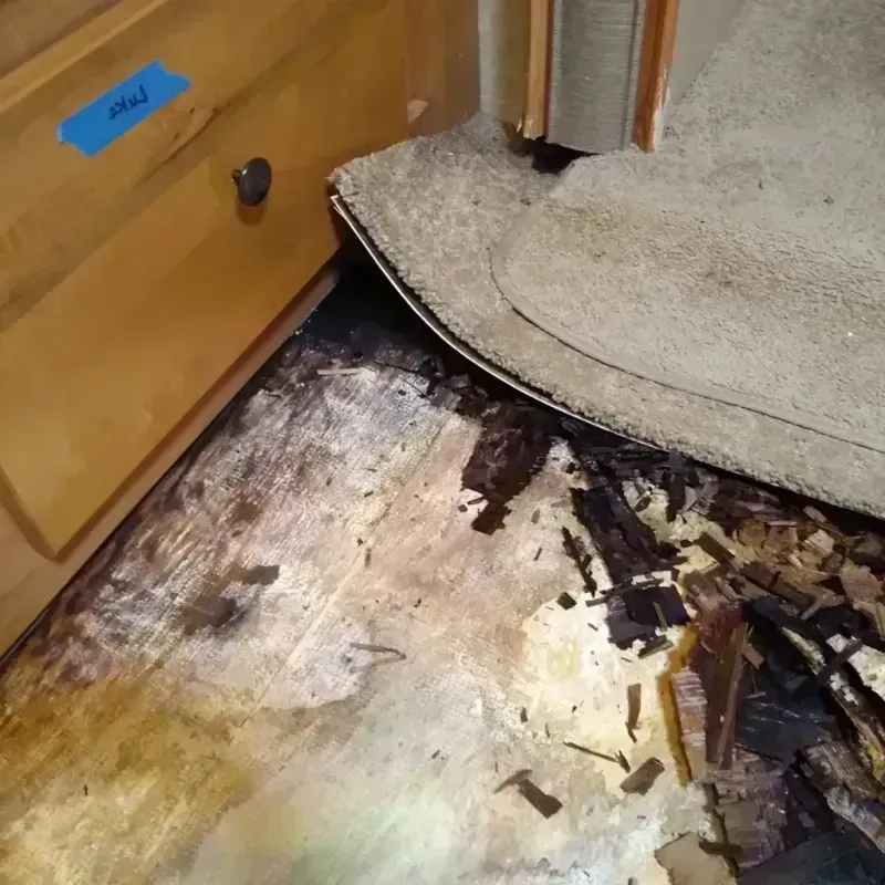 Wood Floor Water Damage in Hollywood, SC